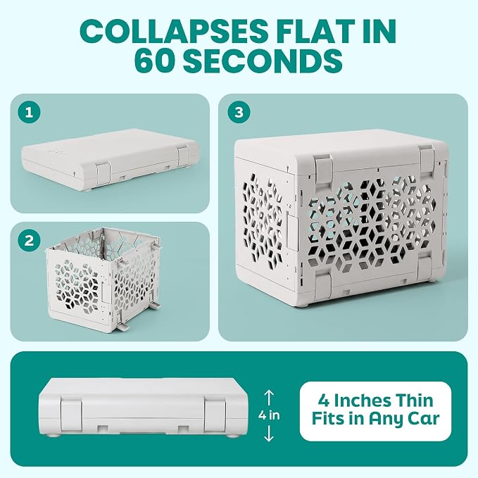 PAWD Collapsible Puppy and Dog Crate - Stylish Pet Kennel - Safe Indoor Kennel- Lightweight, Compact & Portable for Travel - Small White