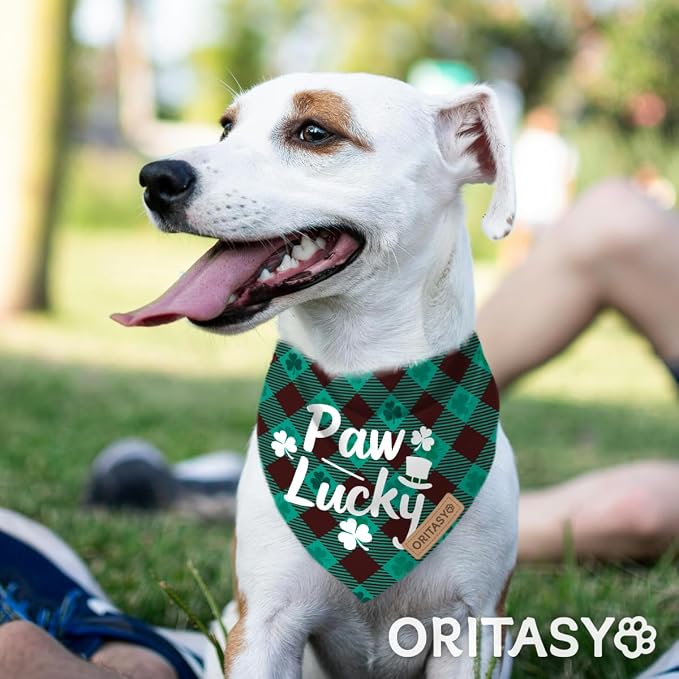 St. Patrick's Day Dog Bandanas, 2-Pack Triangle Reversible Gnomes Pet Scarves, Premium Fabric, Bandana for All Boys Girls Dogs (Paw Lucky, One Size)