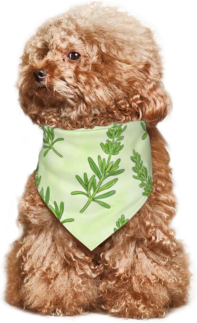 Sage Green Dog Bandana,Adjustable Triangle Bibs Dogs Scarf,Puppy Neckerchief Dog Cat Bib for Spring Summer (Grass Green)