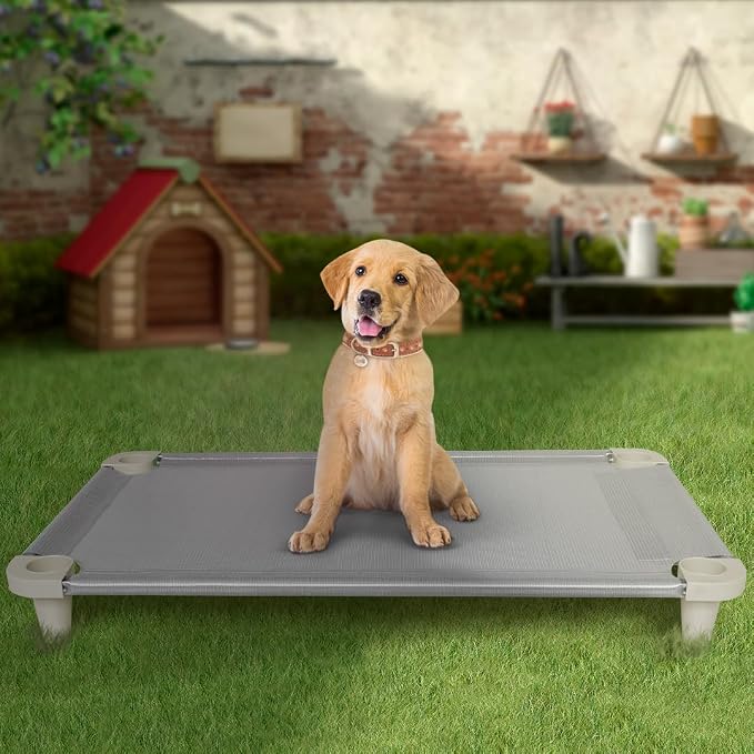 Acrimet Cooling Elevated Pet Dog Bed, Washable and Breathable Mesh Cot, Stainless Steel Frame, Indoor & Outdoor Use, fits Dogs up to 110 lbs (Size: 40” x 24”), Gray, 1 Unit