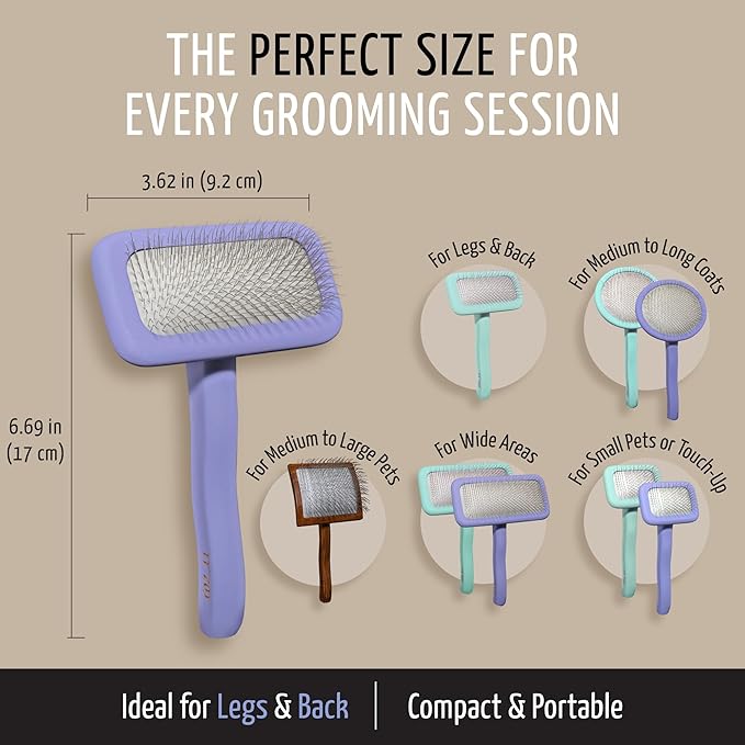 Tauro Pro Line Slicker Brush for Dogs & Cats, Deshedding, Dematting & Detangling Grooming Tool for Medium to Long Coats, Ideal for Doodles & Poodles, Flexible Cushion, Purple, Medium Size (M)