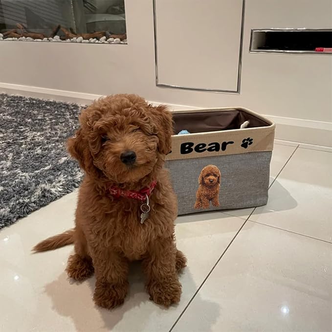 xrlsg Personalized Dog Toy Storage Basket Bin - Collapsible with Pet's Name - Rectangular Custom Storage Box Chest Organizer for Toys, Coats, Clothing, Blankets