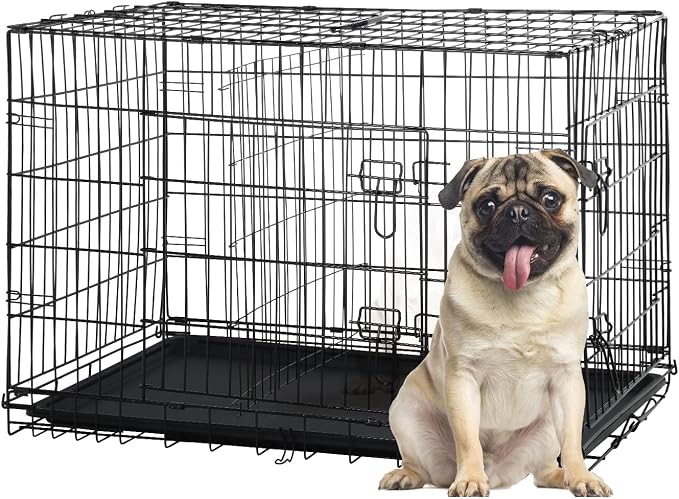 Small Dog Crate for Puppy, 24 Inch Metal Wire Pet Dog Cage for Small Animals Rabbit Indoor Outdoor Foldable Metal Dog Kennel with Divider Panel, Leak-Proof Plastic Pan