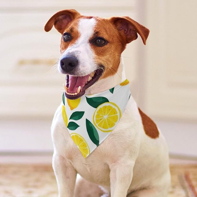 Summer Breathable Scarf for Small, Medium, Large Dogs Yellow Lemon and Cats, Washable Handkerchief with Adjustable Design