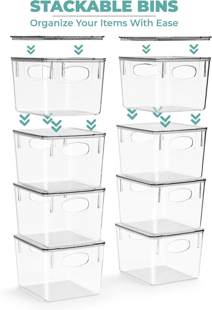 Sorbus Small Storage Containers with Lids - Small Plastic Storage Bins - Toy Organizers and Storage Bin - Clear Containers for Organizing (2 Pack), Medium