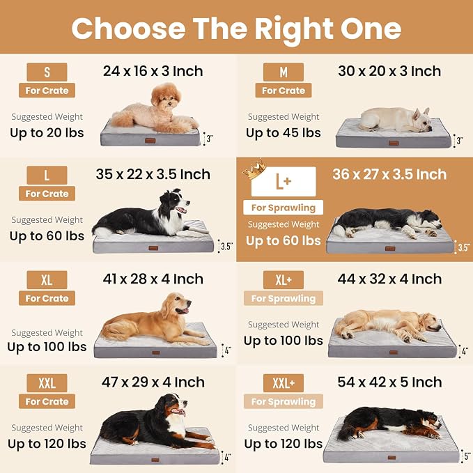 OhGeni Orthopedic Waterproof Med Large Dog Bed, Memory Foam, 36 inch(Gray) | Machine-Washable Removable Cover in Easy-Clean Fabric, Reversible Memory Foam & Easy-Carry Handle, Wider and Larger