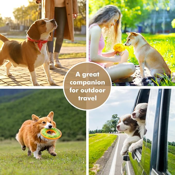 Collapsible Dog Bowls, Travel Food and Water Double Bowl for Cats & Dogs, 2-in-1 Portable BPA-Free Feeding Solution, Perfect for Traveling, Camping & Walking (S/ 60oz)