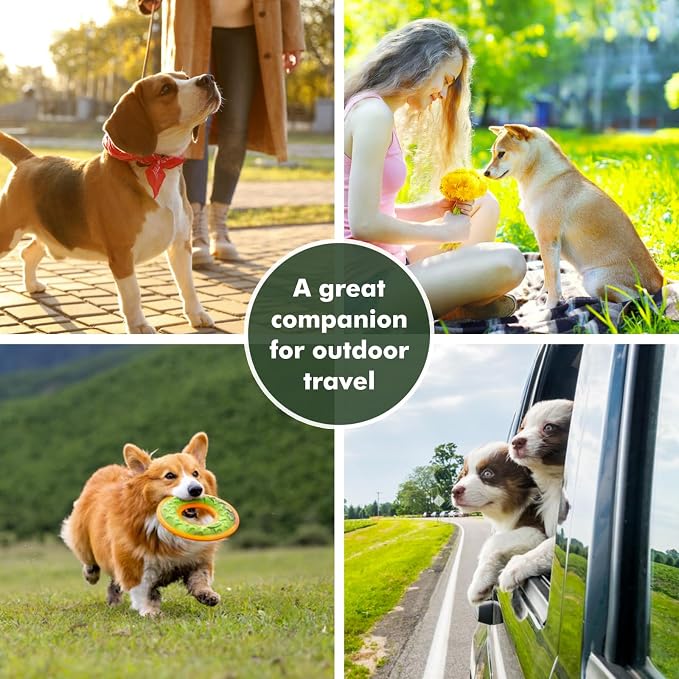 Collapsible Dog Bowls, Travel Food and Water Double Bowl for Cats & Dogs, 2-in-1 Portable BPA-Free Feeding Solution, Perfect for Traveling, Camping & Walking (S/ 60oz)
