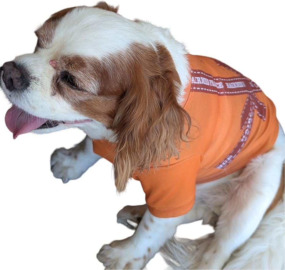 Dog T-Shirts for Small Dogs, Designer Dog Clothes, Luxury Lightweight Tee | Dog T-shirts for small dogs; soft lightweight designer dog clothes with luxury comfort for Chihuahuas, Yorkies and Dachshunds