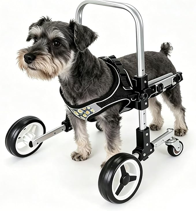 Dog Front Leg Wheelchair, Adjustable Pet Mobility Cart, Lightweight Stainless Steel Dog Rehabilitation Assist Walker for Small Medium Disabled Dogs, Hind Leg Support(Large)