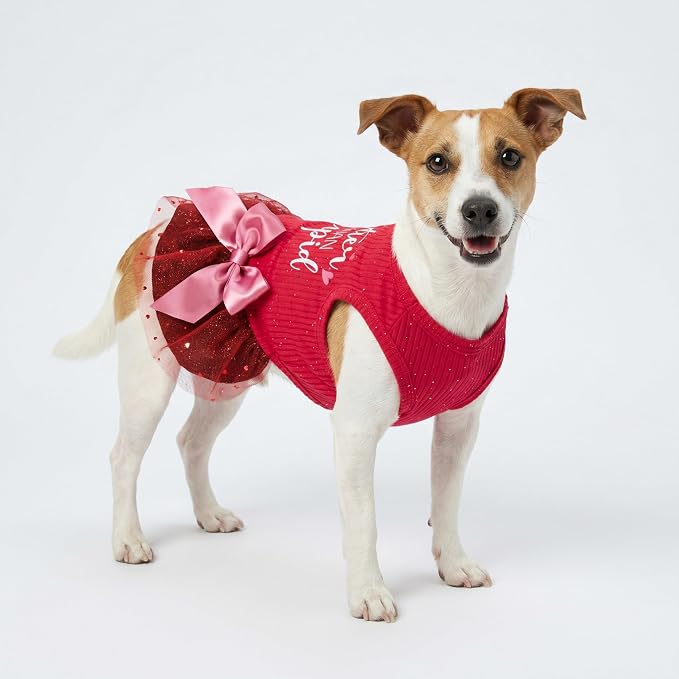 Fitwarm Cuter Than Cupid Dog Tulle Dress, Cute Girl Dog Clothes, Funny Pet Apparel, Burgundy Red, XXS