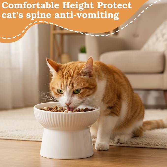 2 Pcs Cat Slow Feeder Bowl, Raised Ceramic Cat Slow Feeder Bowl, Elevated Cats Dog Food Bowls High Edge, Anti Vomiting for Pets Kitten Puppies Dry Wet Food and Water, Dishwasher Safe