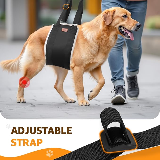 Adjustable Dog Sling for Large Dogs Hind Leg Support Weak Legs Mobility Aid | Dog Lift Harness, Helps Seniors, Injured, Disabled and After ACL Surgery Dogs, Daily Walk/ Stairs, Soft Padded, Easy to Use