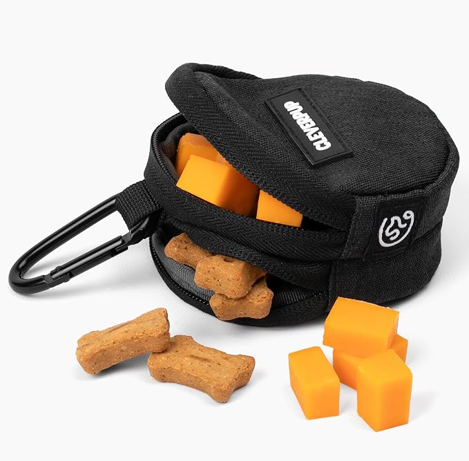 Cleverpup Snackpack Double Insulated Dog Treat Pouch – 1.5 Cup Capacity, 2 BPA-Free Waterproof Zipper Pockets, Carabiner for Belt/Leash – Compact Training & Travel Bag – Graphite