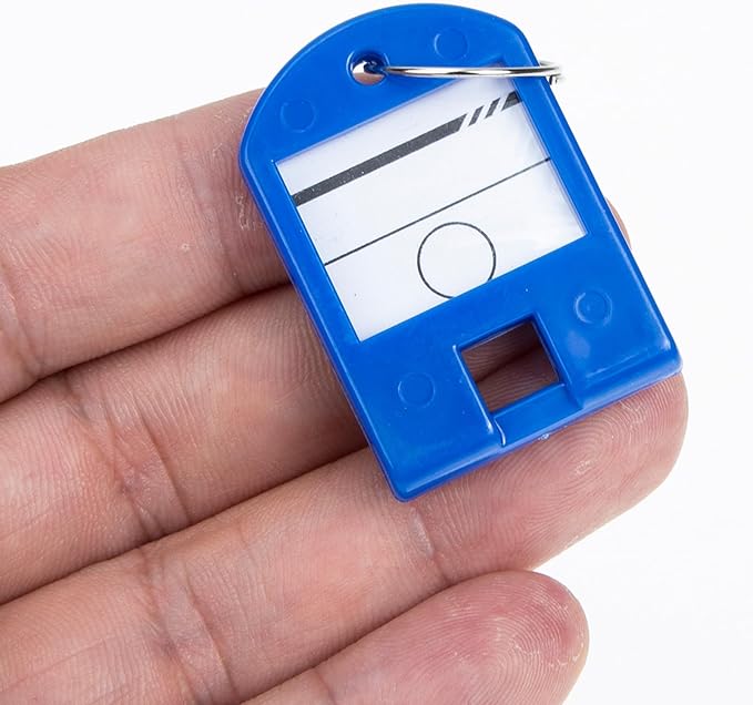 POPETPOP Plastic Key Tags Sturdy Plastic Organizers 100pcs with Split Ring and Personalizable Label, Colored Key Labels and Random Color for USB Drive and Small Luggage for Offices