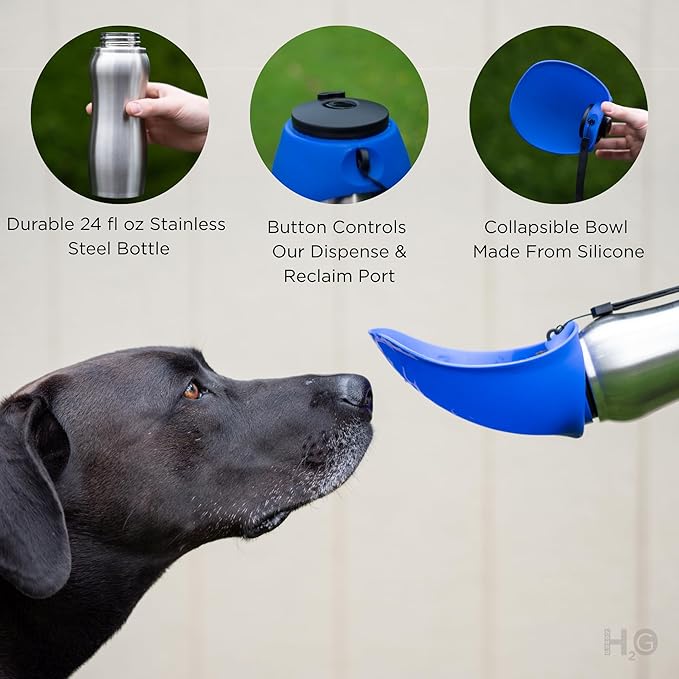 Portable Dog Water Bottle, 24 oz, Stainless Steel, Convenient Pet Water Dispenser, Collapsible Travel Bowl, Walking, Hiking, and Outdoor Activity, Compatible with Various Pets, Houd2Go (Blue, 24oz)