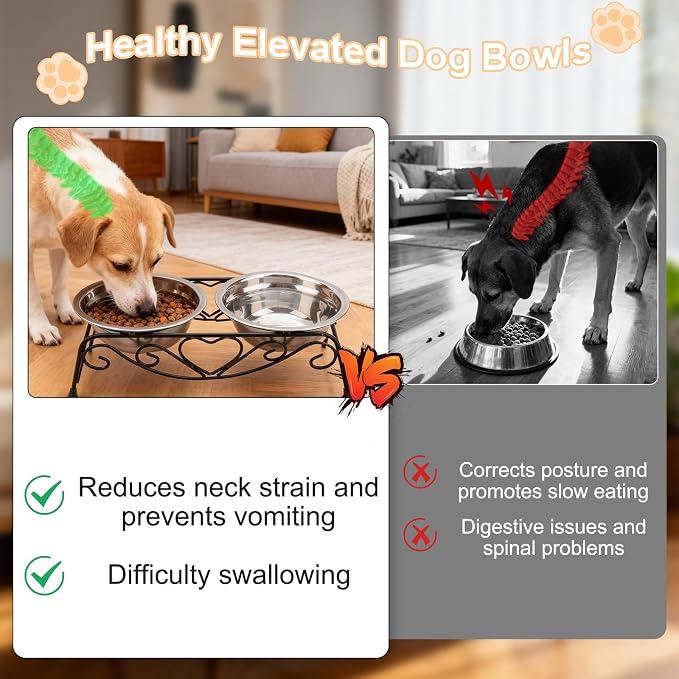 Small Dog Bowls with Metal Stand for Small Breeds Cats and Puppies 3.4 Inch Fixed Height Elevated Feeder with 2 Removable Stainless Steel Bowls