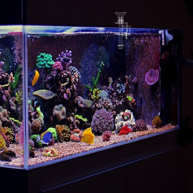 Abaodam Acrylic Shrimp Feeder Tube 10cm Wall-Mounted Aquarium Fish Tank Feeding Tool for Shrimp and Small Fish Aquarium Supplies