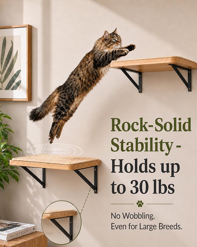 Cat Floating Wall Shelf with Scratching Mat, 1PC, 9.7X16.6 Inch | 1 Inch Thick Wood Board , Wall Mounted, Supports to 30 LBS, For Sleeping, Playing, Climbing