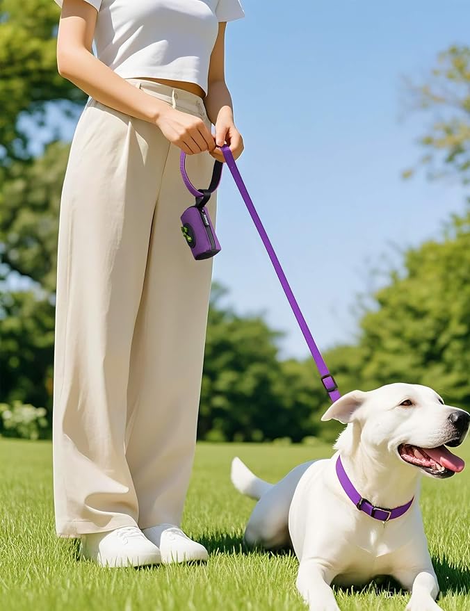 Gobeigo 2-in-1 Dog Poop Bag Holder【Easy Pull-Out Version】(Purple) | Hard Plastic Insert & Soft Fabric Bag Snap-On Strap Dispenser Fits Retractable and Standard Leashes with 1 Roll Bags