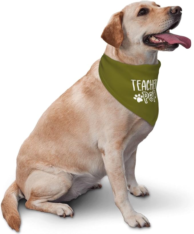 Teacher's Pet Dog Bandana,Funny Bandana Gift,Photo Prop Accessories for Dog Lovers Owner Gift,Triangle Reversible Fall Scarf, Adjustable (Green)
