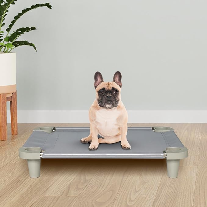 Acrimet Cooling Elevated Pet Dog Bed Cot for Small Dogs, Washable and Breathable Mesh Fabric, Stainless Steel Frame, Indoor & Outdoor Use, (Size: 26”x 20”) (Gray Color) (1 Unit)