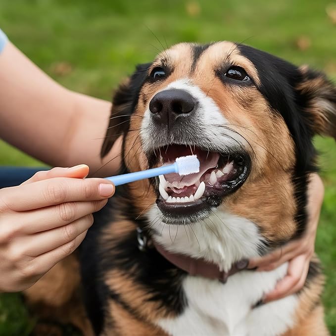 3 Pack Small Dog Cat Toothbrush, 360 Degree Soft Silicone Pet Toothbrush Cat Dental Care Dog Oral Hygiene Deep Clean Pet Teeth Cleaning Kit