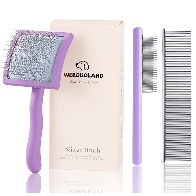Gently Grooming Slicker Brush with Coated Tips for Long-Haired Dogs-Ergonomic Wooden Handle, Long Pins for Grooming Goldendoodles Poodles Purple