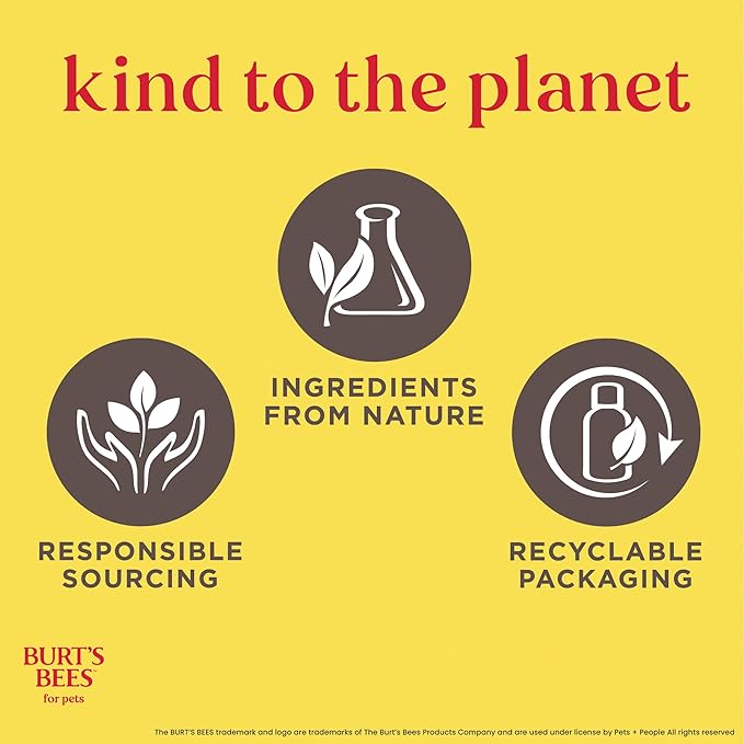 Burt's Bees for Pets Itch Soothing Shampoo with Honeysuckle, 95% Natural Origin, Dog Shampoo for Itchy Skin Relief, pH Balanced, Free of Sulfates and Parabens, 16 Fl Oz
