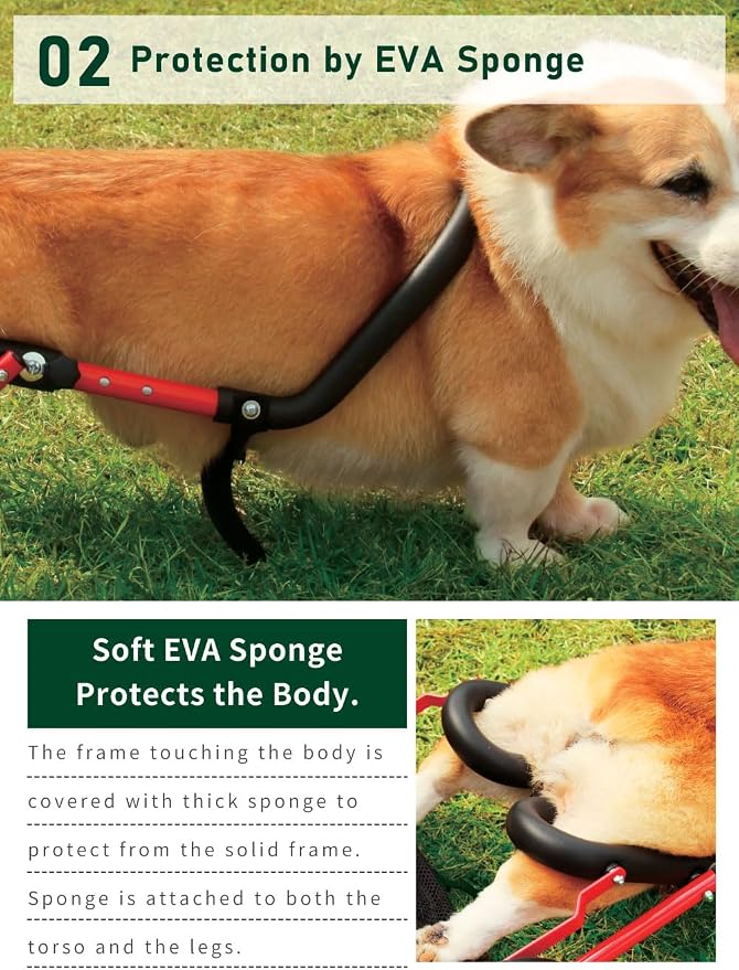 PaletteLife Corgi Dog Wheelchair for Back Legs, Adjustable Dog Cart with Wheels, Lightweight Rear Leg Mobility Support for Disabled, Injured & Senior Dogs