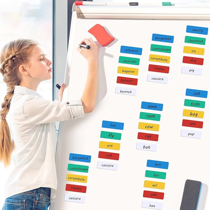 120 Pcs Back to School Dry Erase Magnetic Labels 1 x 3'' Reusable Magnetic Name Tags Magnets Sticker Waterproof Label Stickers for Classroom Office Whiteboard Fridge Locker Shelf, 5 Colors