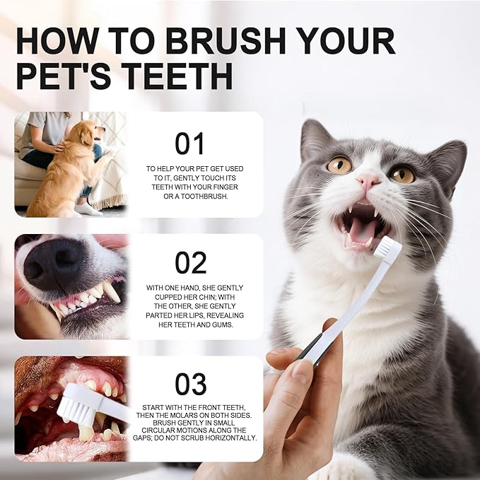HOP Cat Toothbrush with Suction Cup Soft Nylon Bristles Micro-Head Toothbrush ABS Handle with TPR Anti-Slip Pet Dental Care Toothbrush for Small Medium Cats Dogs Kittens Puppies 6.5in/16.5cm