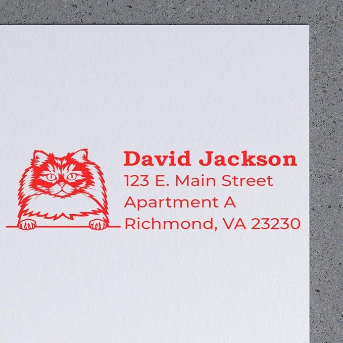Custom British Longhair Address Stamp - Made to Order Stamps for Cat Lovers & Pet Owners - Perfect Address Stamp for Real Estate Agents - Unique Personalized Stamp, 7/8 x 2-1/4