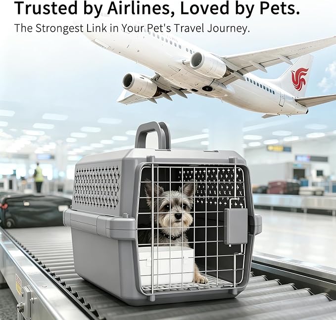 Carrier for Small Cats & Dogs:Secure Hard-Sided Pet Carrier | Secure Metal Locking Door / Multi-Side Ventilation / Top Carry Handle / Lightweight Durable Shell