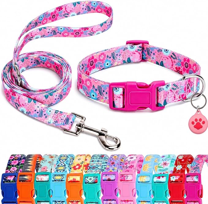 Floral Matching Dog Collar and Leash Set with AirTag Holder-Rose Daisy/S | Anti-Lost,Adjustable Durable Pet Collar Leash Combo for Small Boy Girl Dogs,for Outdoor Walking Hiking Training Running