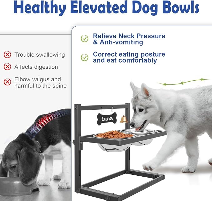 Elevated Dog Bowls for Medium and Small Dogs, 5 Height Adjustable & 2 Stainless Steel Bowls 800ml/27oz, Raised Food Dog Water Stand