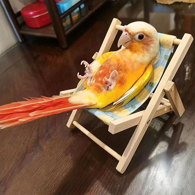 Small Pet Lounge Chair Recliner – Habitat Furniture Decor | | Mini Wooden Resting Bed For Guinea Pigs, Hamsters & Bunny; Cute Cage Accessary & Lounge Sofa For Small Animal Enclosure