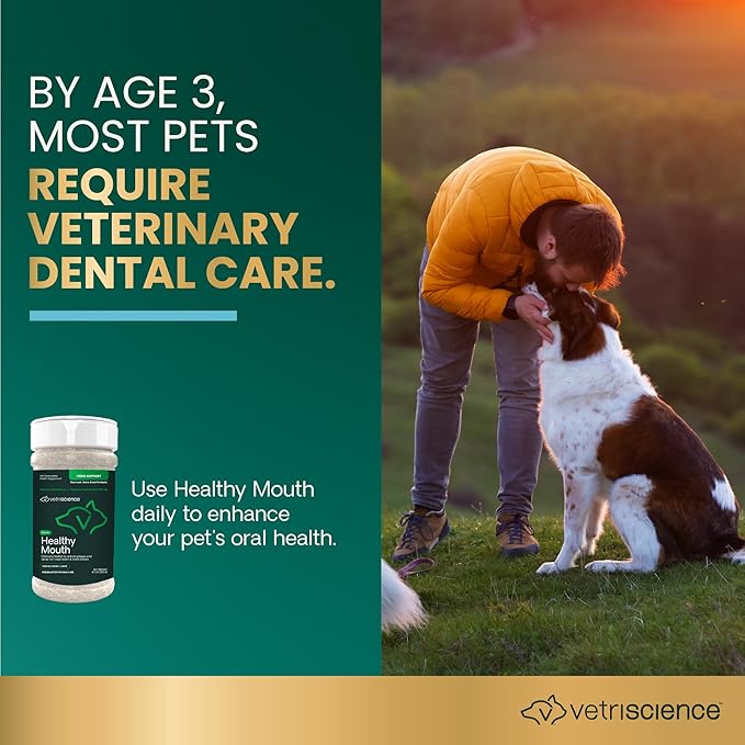 VetriScience Dental Care Powder for Dogs & Cats – Helps Reduce Plaque & Tartar Buildup, Clean Teeth & Fresher Breath, Clinically Tested, Vet-Formulated Oral Supplement, 4.2 oz