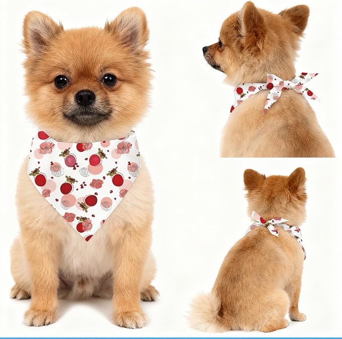 Pomegranate Dog Bandana, Summer Fruit Pet Triangle Scarf for Picnic Garden Party Outfit, Red Pomegranate Neckerchief for Small Medium Dogs, Cute Puppy Accessory Gift for Pet Owners