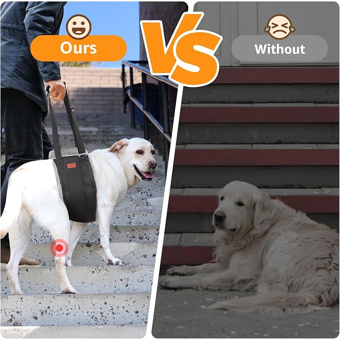 Adjustable Dog Sling for Large Dogs Hind Leg Support Weak Legs Mobility Aid | Dog Lift Harness, Helps Seniors, Injured, Disabled and After ACL Surgery Dogs, Daily Walk/ Stairs, Soft Padded, Easy to Use