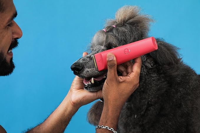 Andis 79125 Vida 5-in-1 Cordless Adjustable Blade Pet Hair Clipper, 11-Piece Kit, Non-Slip Design, Slim Profile, Versitile Fit, Grooming, Raspberry