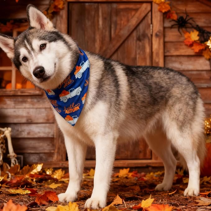 Vintage Fall Dog Bandana Hello Autumn Pumpkin Truck, 5-30lbs Pets