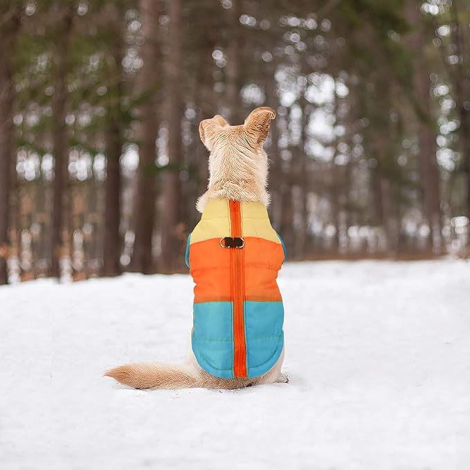 Idepet Pet Dog Cat Coat with Leash Anchor Color Patchwork Padded Puppy Vest Jacket Teddy Chihuahua Costumes Pug Cloth XS S M L(XX-Large,Sky Blue)