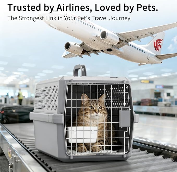 Hard-Sided Pet Carrier: Portable Travel Crate for Medium Pets | Secure Metal Locking Door / 360° Ventilation Panels / Spacious for Medium Pets / Top Carry Handle / Lightweight Durable Shell