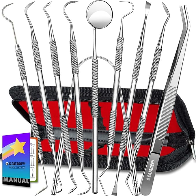 G.CATACC 10 Pack Dental Tools, Professional Plaque Remover for Teeth Cleaning Tools Set, Stainless Steel Hygiene Kit with Dental Pick Tooth Scraper Plaque Tartar Remover Tongue Cleaner - with Case