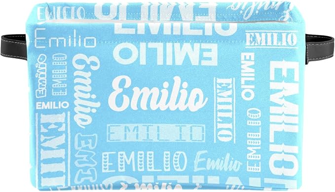 Personalized Toy Box Storage Bins for Boys Girls with Name, Kids Custom Storage Basket Cubes Organizer with Handles, Shelf Closet Storage Baskets Bin Customized Gift, 1 Pack