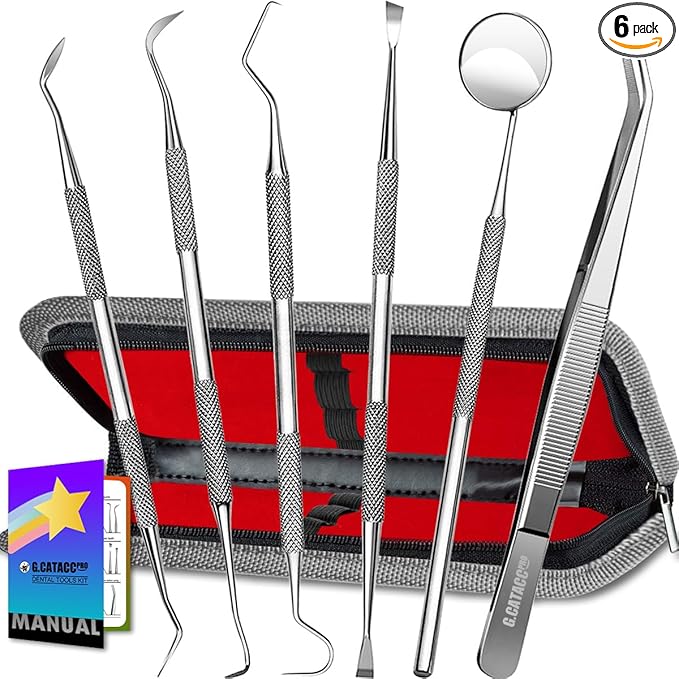 G.CATACC Dental Tools, Dental Pick Teeth Cleaning Tools Hygiene Kit, Plaque Remover for Teeth, Professional Stainless Steel Tooth Scraper Plaque Tartar Cleaner - with Case