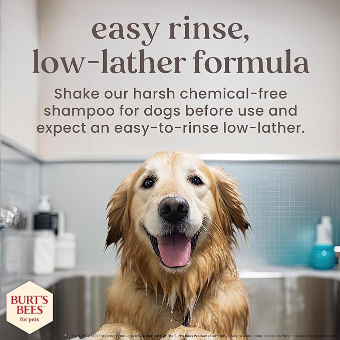 Burt's Bees for Pets Manuka Honey Oatmeal Shampoo for Dogs, Colloidal Oatmeal & Coconut Oil, 95%+ Natural Origin, No Sulfates, Parabens or Phthalates, Milk & Honey Scent, 16 Fl Oz