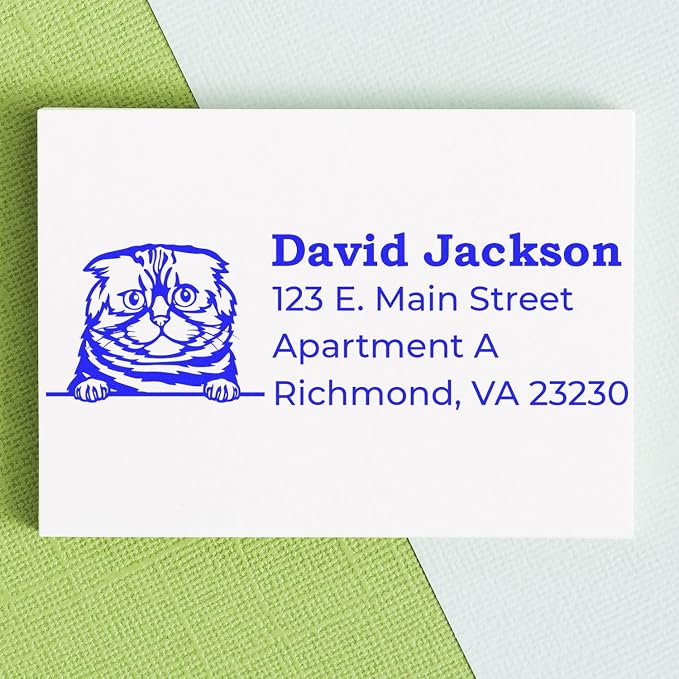 Peeking Foldex Cat Address Stamp Self-Inking - Clear Impressions | Choice of 11 ink colors. Envelope Stamp with Foldex Cat Design. Rubber Address Stamp for Veterinary Offices. 4 case colors.