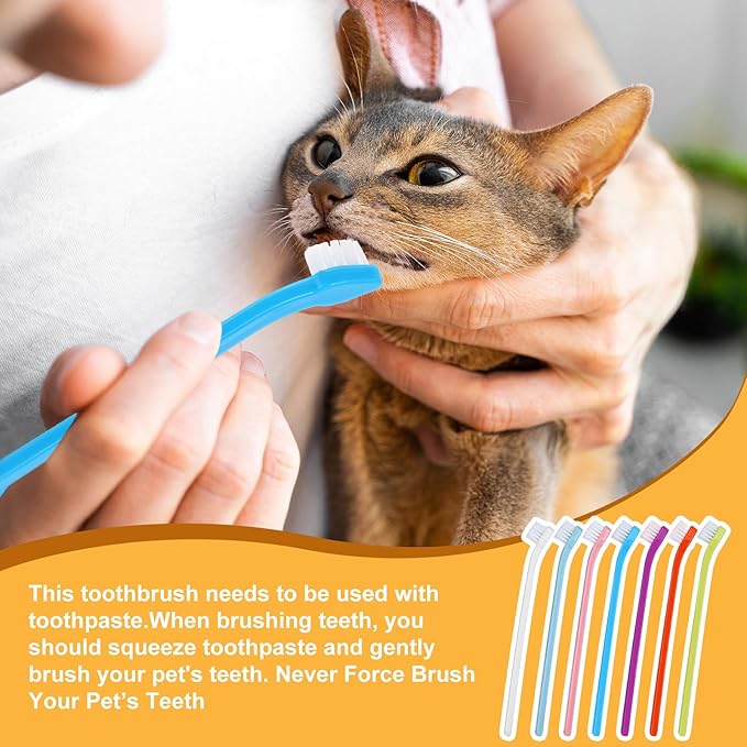 Tioncy 500 Count Small Dog Toothbrush Bulk Pack Long Handle Pet Toothbrushes with Soft Bristles, Dental Care Teeth Cleaning Kit for Small Breed Dogs, Cats, and Puppies (7 Colors)